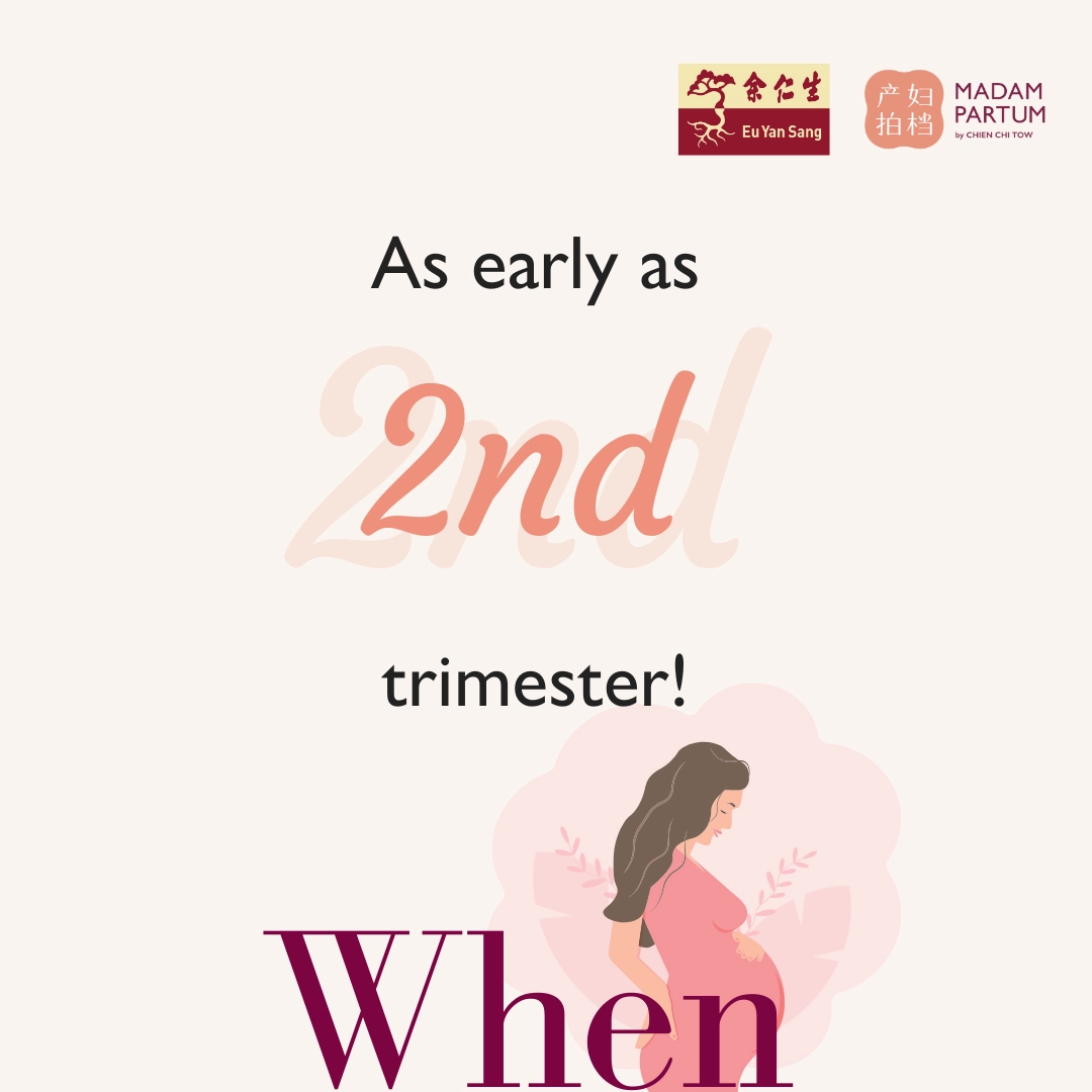 TCM Pregnancy Care Booster Pack with Eu Yan Sang - Image 3