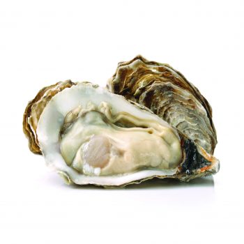 Food Image-01 Food Image-01